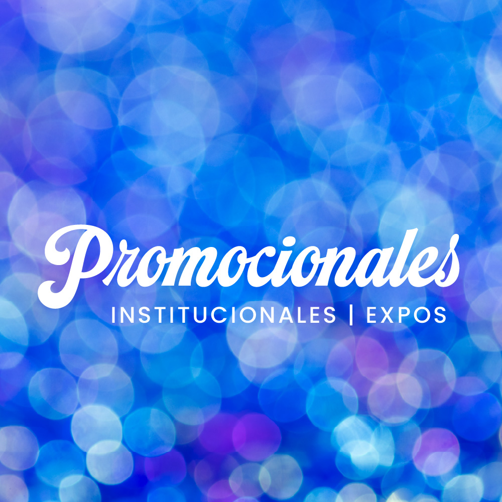 Pagweb_Vectoria_Promocionales1