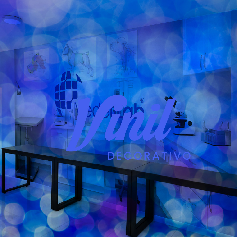 Pagweb_Vectoria_Vinil2